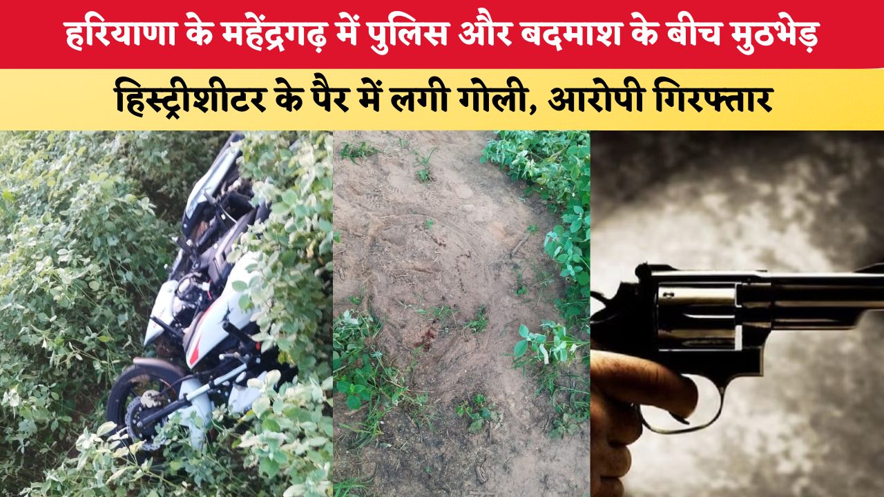 हरियाणा के महेंद्रगढ़ में पुलिस और बदमाश के बीच मुठभेड़, हिस्ट्रीशीटर के पैर में लगी गोली; आरोपी गिरफ्तार