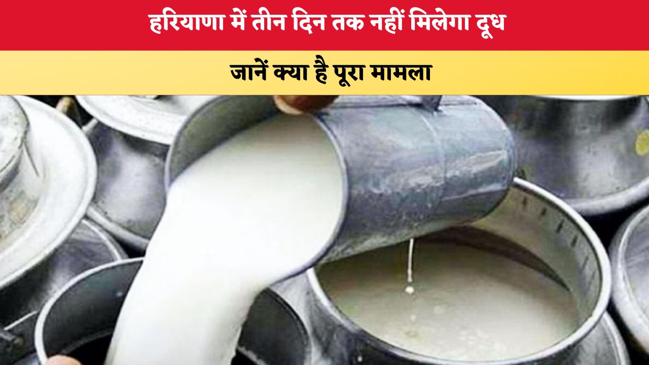 Haryana News: हरियाणा में तीन दिन तक नहीं मिलेगा दूध, जानें क्या है पूरा मामला
