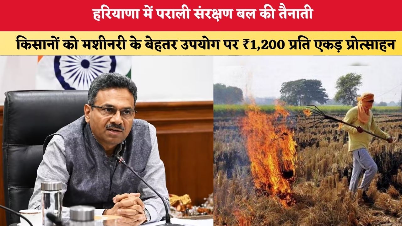 हरियाणा में पराली संरक्षण बल की तैनाती, किसानों को मशीनरी के बेहतर उपयोग पर ₹1,200 प्रति एकड़ प्रोत्साहन