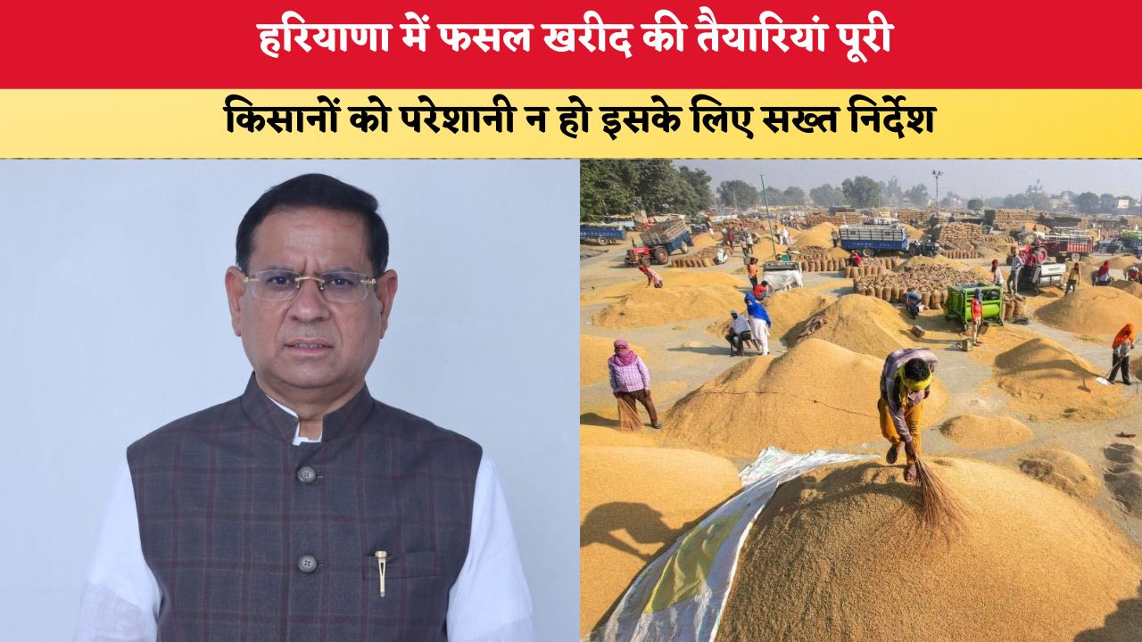 Haryana News: हरियाणा में फसल खरीद की तैयारियां पूरी, किसानों को परेशानी न हो इसके लिए सख्त निर्देश
