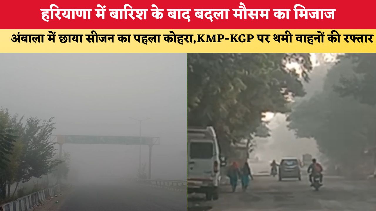 हरियाणा में बारिश के बाद बदला मौसम का मिजाज, अंबाला में छाया सीजन का पहला कोहरा; KMP-KGP पर थमी वाहनों की रफ्तार