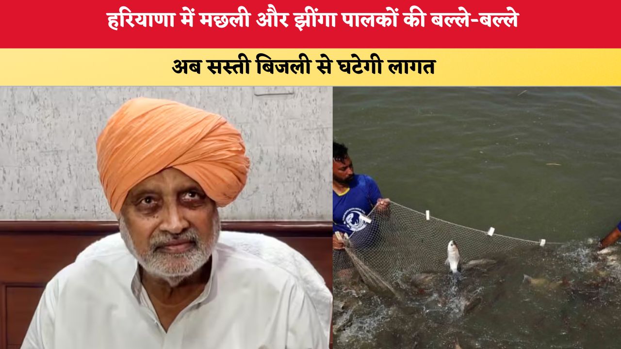 Haryana News: हरियाणा में मछली और झींगा पालकों की बल्ले-बल्ले, अब सस्ती बिजली से घटेगी लागत