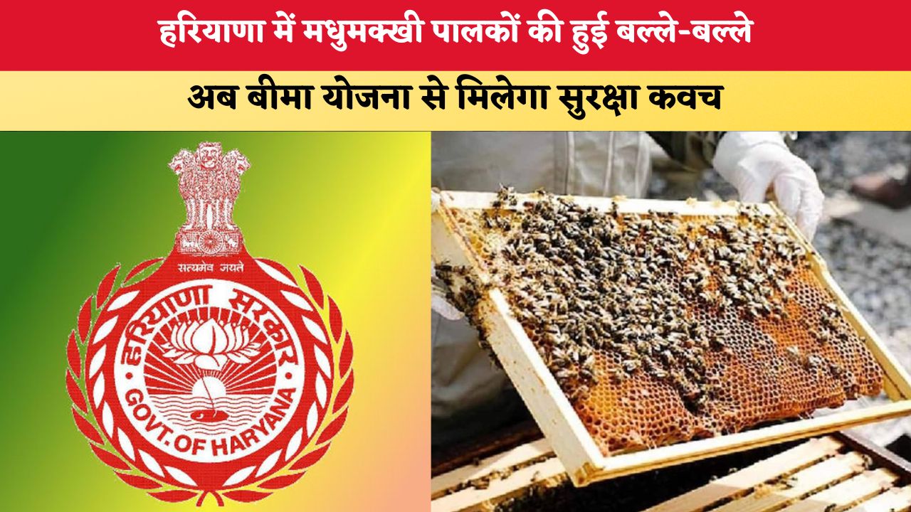 Haryana News: हरियाणा में मधुमक्खी पालकों की हुई बल्ले-बल्ले, अब बीमा योजना से मिलेगा सुरक्षा कवच