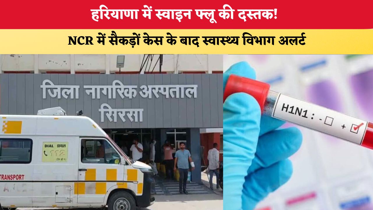 हरियाणा में स्वाइन फ्लू की दस्तक! NCR में सैकड़ों केस के बाद स्वास्थ्य विभाग अलर्ट