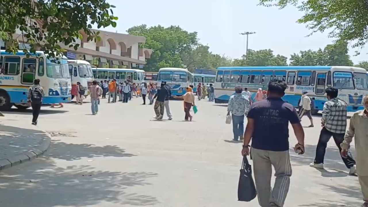 Haryana News: हरियाणा सरकार का महिलाओं को रक्षाबंधन का तोहफा, बसों में मुफ्त यात्रा सुविधा शुरू