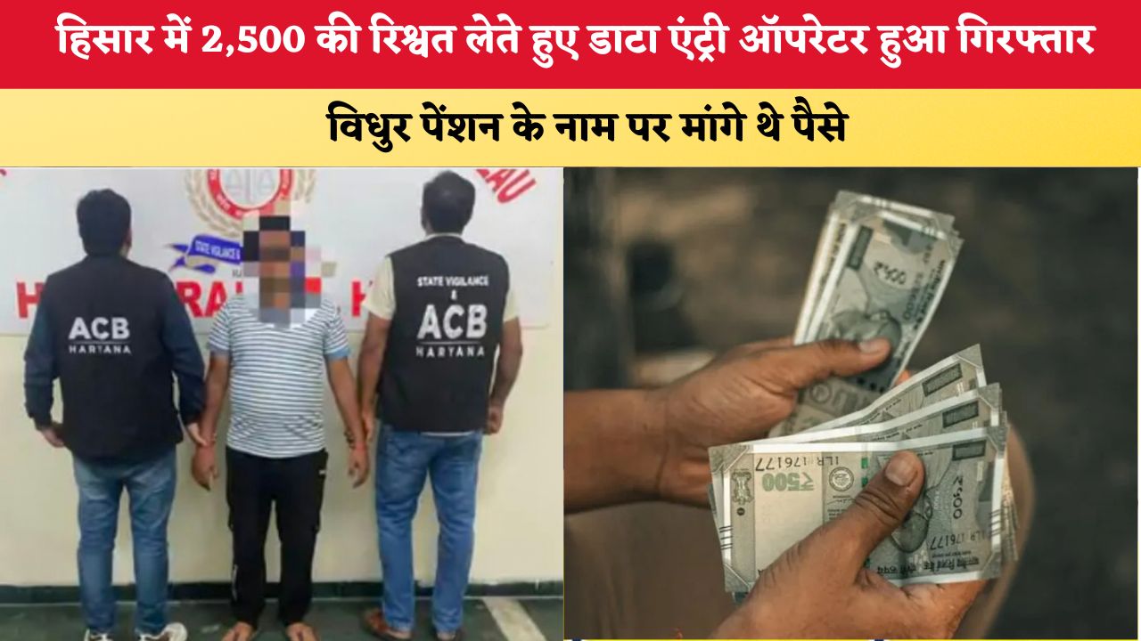 Haryana News: हिसार में 2,500 की रिश्वत लेते हुए डाटा एंट्री ऑपरेटर हुआ गिरफ्तार, विधुर पेंशन के नाम पर मांगे थे पैसे