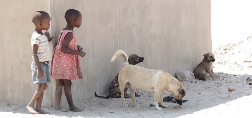 Rabies Risk: क्या है रेबीज, किन जानवरों के काटने पर होती है ये बीमारी, जानें इसका इलाज