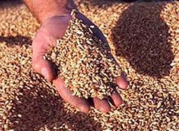 खाद्य सब्सिडी में सुधार से महंगाई और वित्तीय घाटा कम होगा : मूडीज 