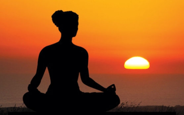 योगावियर में स्टार्टअप्स को दिखा चुस्त business