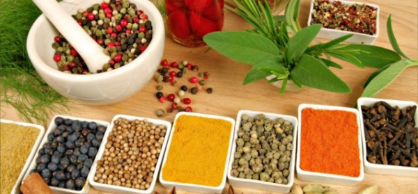 छत्तीसगढ़ आयुर्वेदिक दवा निर्माण में बढ़ेगा आगे