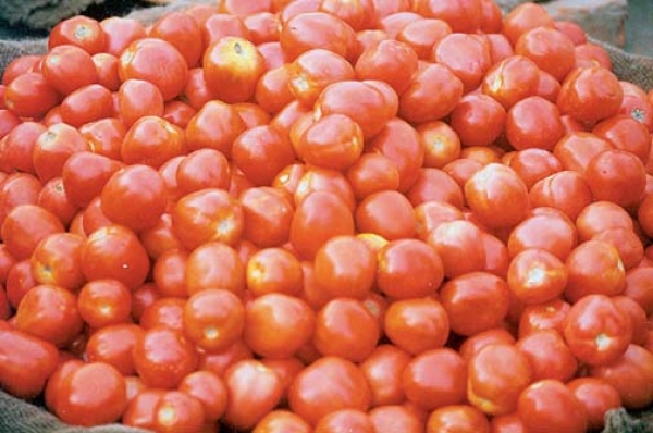 आम आदमी पर पड़ी महगाई की मार, 1 माह में 50% बढ़ी टमाटर की कीमतें