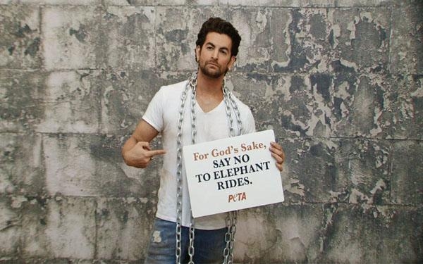 नील ने हाथियों की दुर्दशा की ओर खींचा ध्यान