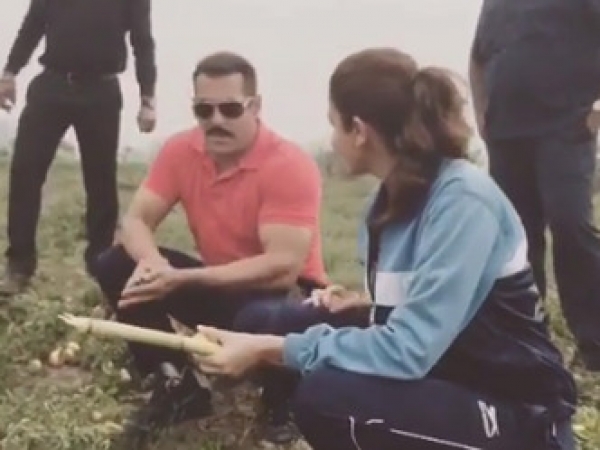 अनुष्का-सलमान ने खेतो से तोड़कर खाए टमाटर