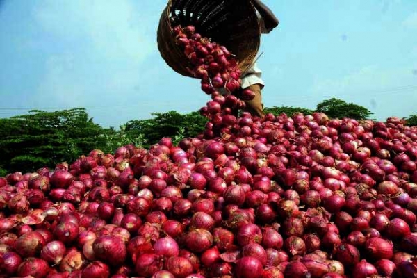 प्याज की गिरती कीमतों से परेशान हैं किसान