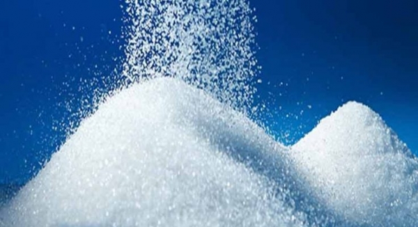चीनी निर्यात पर 25% शुल्क लग सकता है