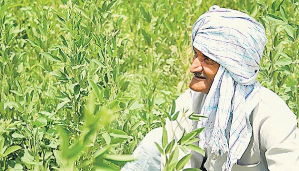 खुशखबरी: अब किसानो को मिलेगा लघु अवधि के लिए 7 फीसद की दर पर लोन