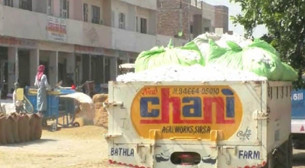 सिरसा :प्रदेश के कॉटन मिल मालिक मार्किट फीस और वैट की समस्या को लेकर हड़ताल पर