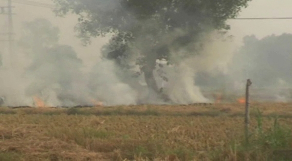 नरवाना : बेटी ने लगवाया अपने पिता पर पराली जलाने को लेकर जुर्माना