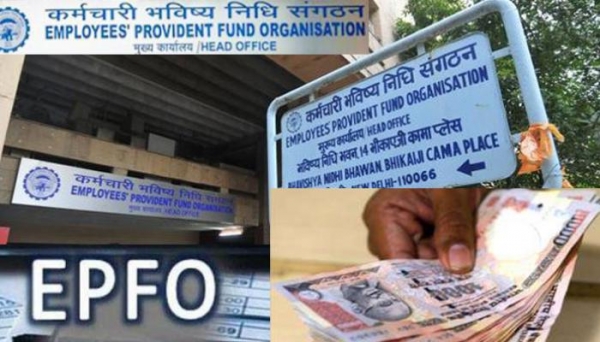 PF और EPF पर ब्याज घटने से नहीं है नुकसान, जानिए कैसे