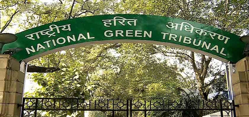 NGT ने AAP सरकार से मांगा जवाब,प्रदूषण पर 48 घंटे में पेश करो एक्शन प्लान।