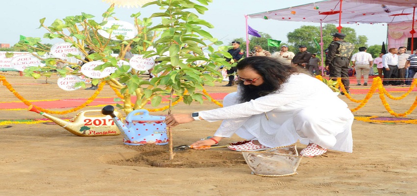 कड़ी मेहनत से जेल में सब्ज़ियाँ उगा रहे  राम रहीम।