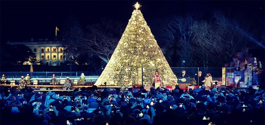 ब्राजील में विश्व का सबसे बड़ा क्रिसमस ट्री रोशन