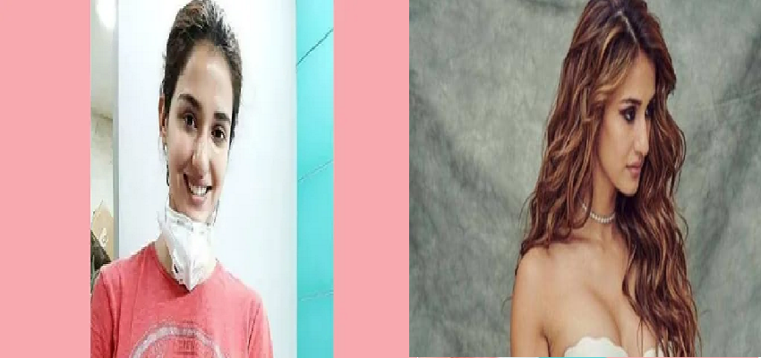 Disha Patni Rescues Injured Kite : दिशा पाटनी ने बचाई घायल चील की जान, कराई ऑर्थोपेडिक सर्जरी