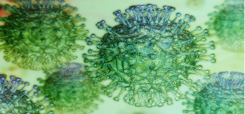 CORONA UPDATES :  देश में 96 हजार के पार हुआ कोरोना मरीजों का आंकड़ा, 24 घंटे में इतने निकले पॉजिटिव