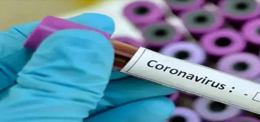 Coronavirus updates in Delhi: लाॅकडाउन में ढील मिलते ही दिल्ली में बढ़ी कोरोना की रफ्तार, 24 घंटे में 500 केस ने बढ़ाई चिंता