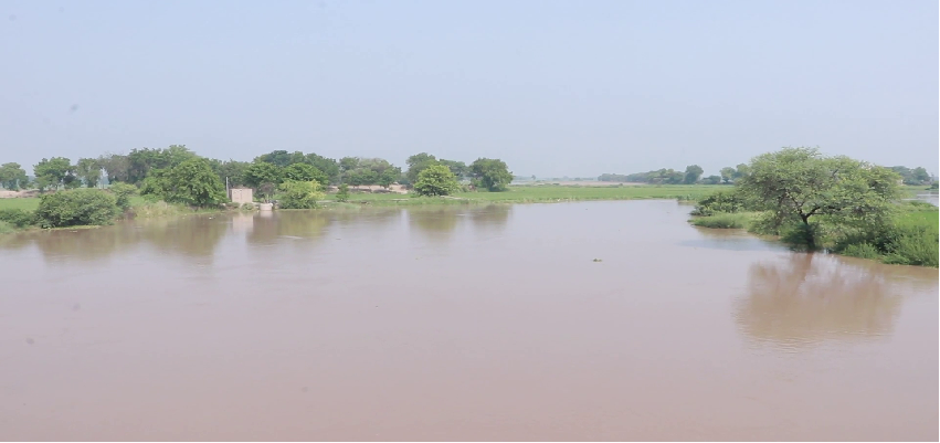 Flood In Haryana: घग्गर नदी का फिर बढ़ा जलस्तर, किसानों के चेहरे पर छाई चिंता की लकीरें, प्रशासन बना मौन