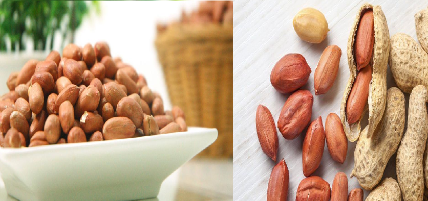 Benefits Of Peanuts : जानें क्या है मूंगफली के फायदे, कैसे करती है रोगों को दूर