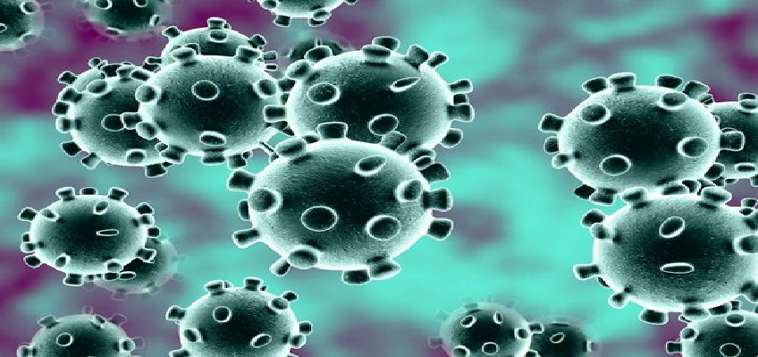 Coronavirus Updates : देश में कुल कोरोना मरीजों का आंकड़ा 20 लाख के पार, पिछले 24 घंटे में दर्ज हुए 56 हजार 282 केस