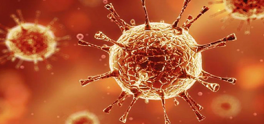 Coronavirus Updates : देश में कुल कोरोना मरीजों का आंकड़ा 31.5 लाख के पार, पिछले 24 घंटे में आए 60,975 नए मामले