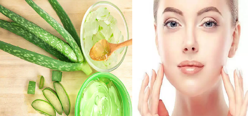 Benefits of aloe vera gel:  एलोवेरा जेल को कैसे करें इस्तेमाल जो पाएं मुंहासों से छुटकारा और बनाएं खूबसूरती का राज