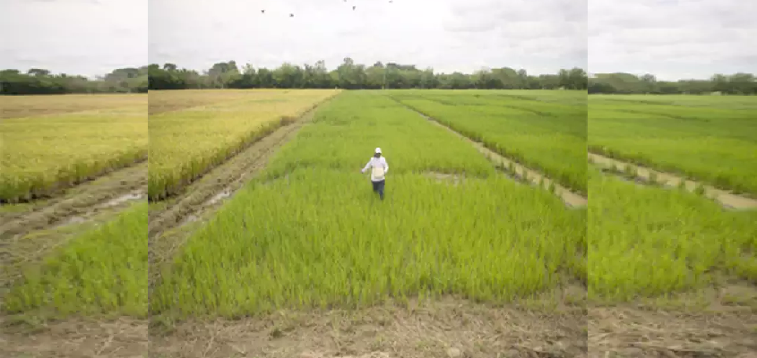 PM Fasal Bima Yojana : मोदी सरकार ने मध्य प्रदेश के किसानों को दी बड़ी राहत, बढाई प्रीमियम के पैसे जमा करने की तारीख