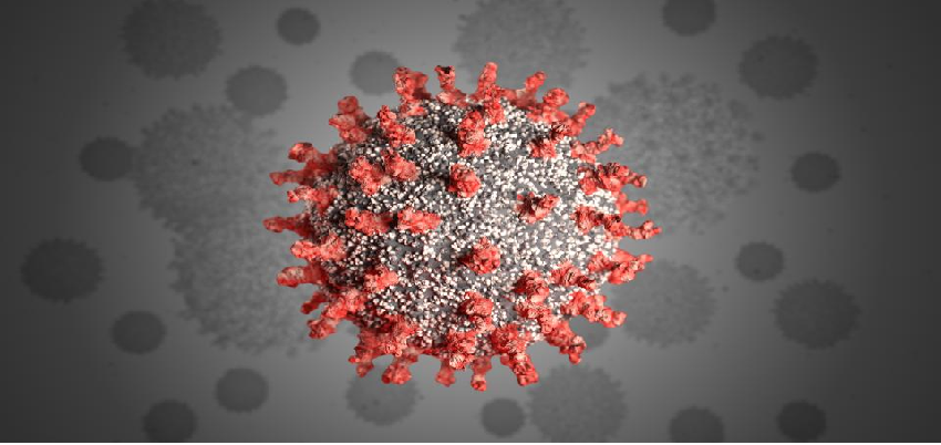Coronavirus Updates : देश में कुल कोरोना मरीजों का आंकड़ा 43 लाख के पार, पिछले 24 घंटे में आए 75 हजार नए मामले