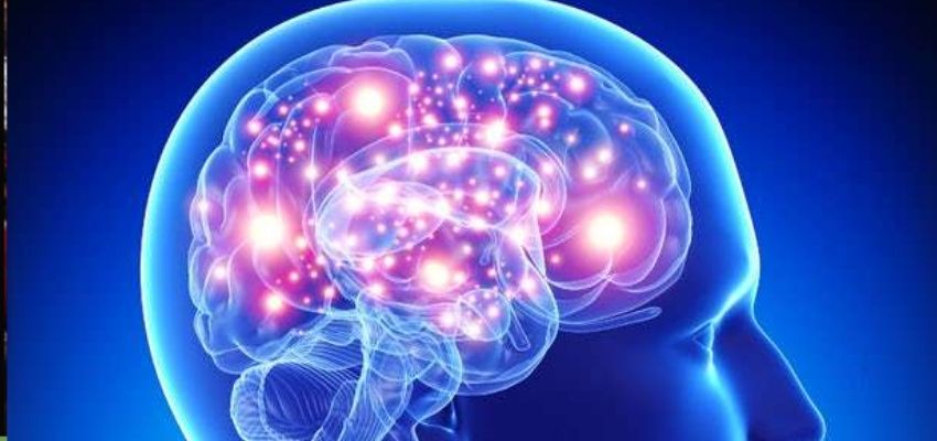 World Alzheimer's Day 2020: अगर आप किसी चीज को जल्दी भूल जाते है तो हो सकता है कि आप इस बीमारी के शिकार है