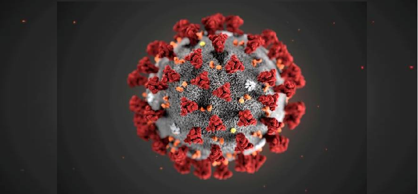 Coronavirus Updates :  देश में कुल कोरोना मरीजों का आंकड़ा 55 लाख के पार, कुल एक्टिव मामलों की संख्या 100329
