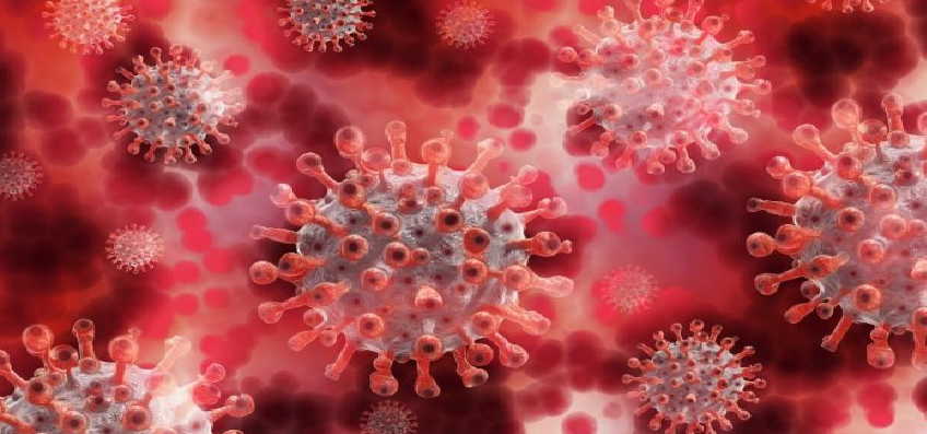 Coronavirus Updates :  देश में कुल कोरोना मरीजों का आंकड़ा 61 लाख के पार, पिछले 24 घंटे में आए 70 हजार नए मामले