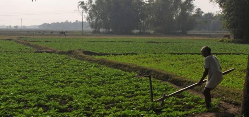 Farmers : नए MSP आने से कैसे होगा किसानों को फायदा, पढ़े पूरी खबर