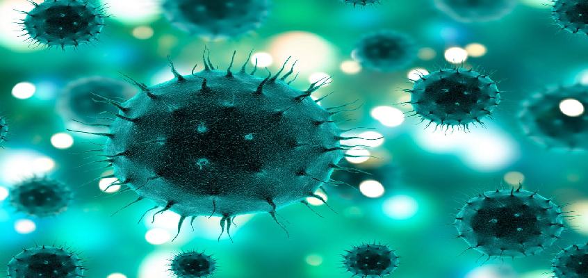 Coronavirus Updates :  देश में कुल कोरोना मरीजों का आंकड़ा 73 लाख 7 हजार के पार, जानें पिछले 24 घंटे में कितने आए नए मामले