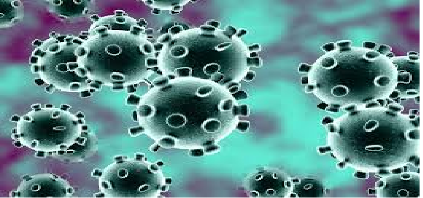 Coronavirus Updates :  देश में कुल कोरोना मरीजों का आंकड़ा 79 लाख 9 हजार के पार, जानें पिछले 24 घंटे में दिल्ली-महाराष्ट्र में कितने आए नए मामले