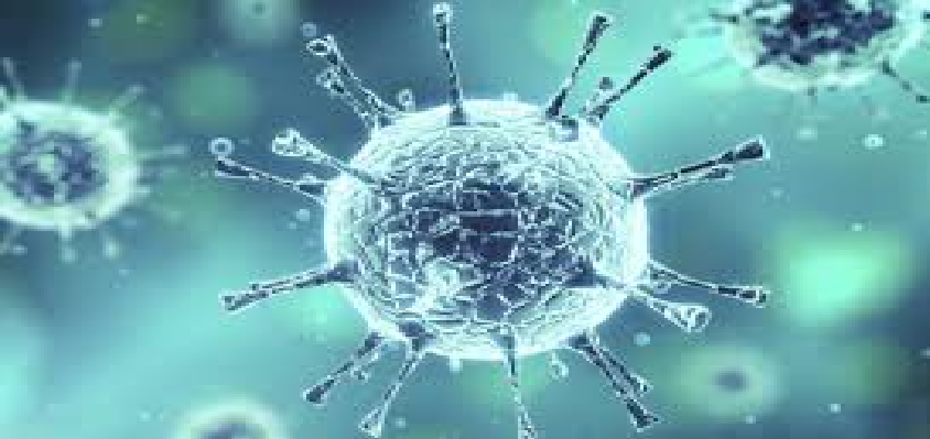 Coronavirus Updates :  देश में कुल कोरोना मरीजों की संख्या 90 लाख के पार, जानें पिछले 24 में कितने आए नए मामले