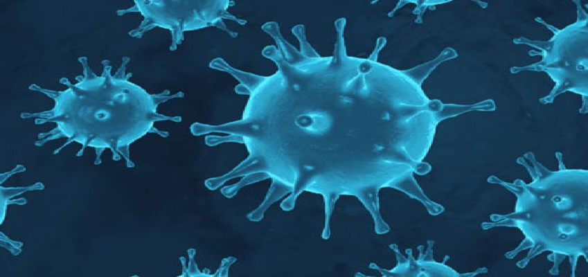 Coronavirus Updates : देश में कुल कोरोना मरीजों का आंकड़ा 91 लाख के करीब, जानें पिछले 24 घंटे में कितने आए नए मामले