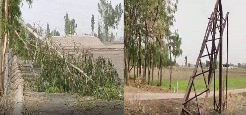 punjab rain: पंजाब में तीन दिनों से लगातार बारिश, किसानों का हुआ भारी नुकसान, बिजली भी रही गायब