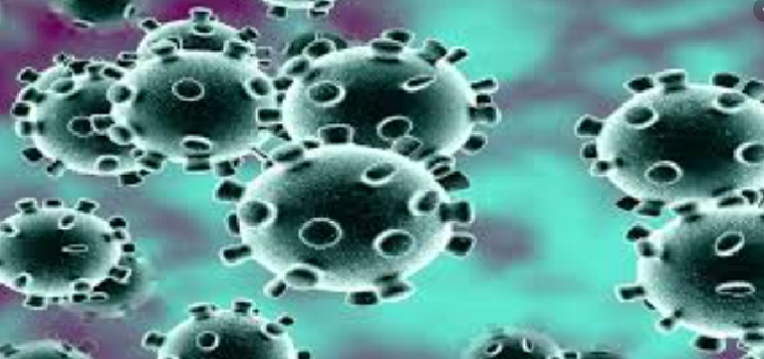 CORONA LIVE UPDATE: देश में कोरोना के दैनिक मामलों में गिरावट, मौत के आंकड़ों में जबरदस्त कमी, पढ़े पूरी खबर