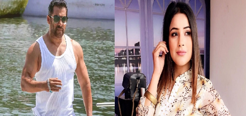 पंजाब की कैटरीना कैफ ने बॉलीवुड में की एंट्री, भाईजान के साथ फिल्म में करेंगी डेब्यू