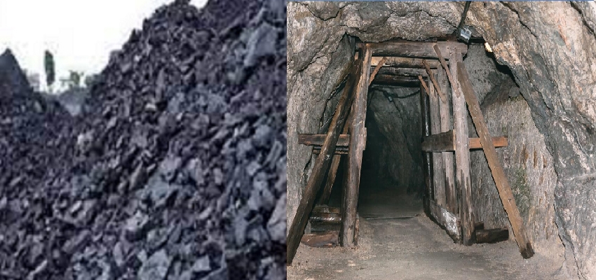 Coal Crisis:  बिजली में इस्तेमाल होने वाला कोयला कैसे बनता है? जानें