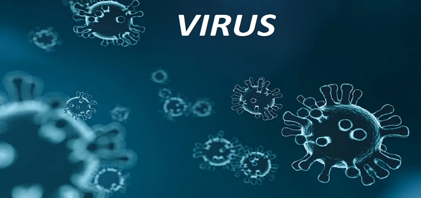 कैसे रखा जाता है वायरस का नाम, इस खबर में मिलेगी आपको पूरी जानकारी