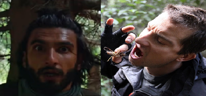 Bear के साथ जंगल में मंगल करते नजर आएंगे Ranveer Singh